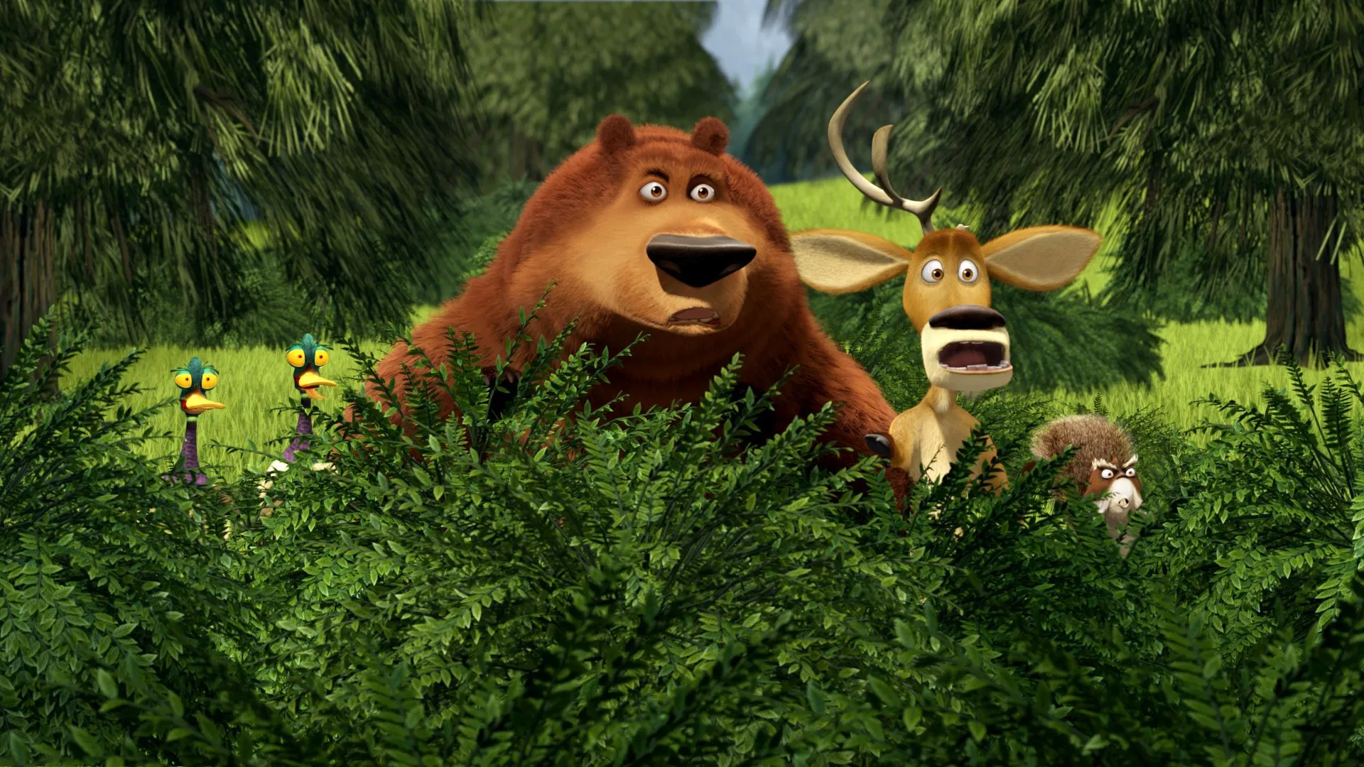 Open Season 2 | فصل شکار ۲
